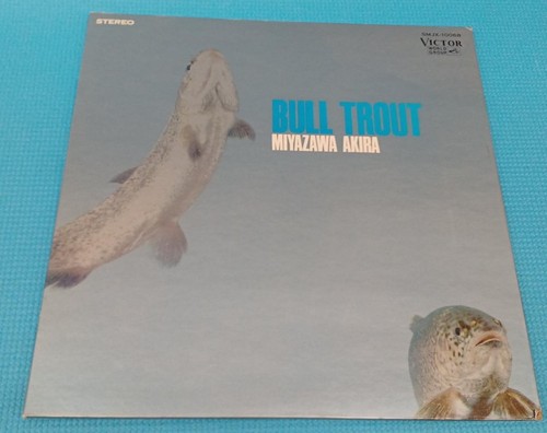 Miyazawa akira bull trout - akira/bull,
