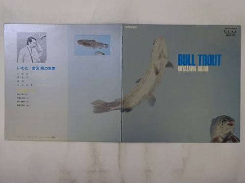 Miyazawa akira bull trout - miyazawa,