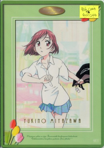 Kare kano kareshi kanojo - kanojo, no