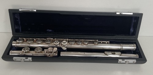 Raro flauto professionale - 🎵,